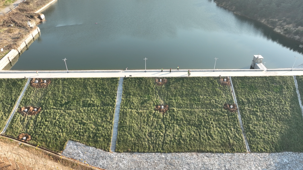 圖片11.png 圖片11.png