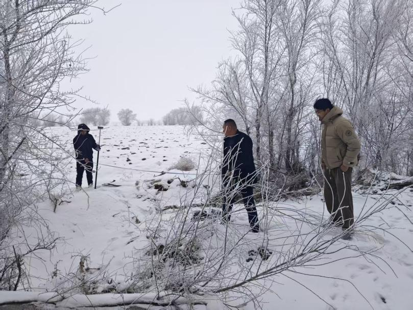 圖片27.png 圖片27.png